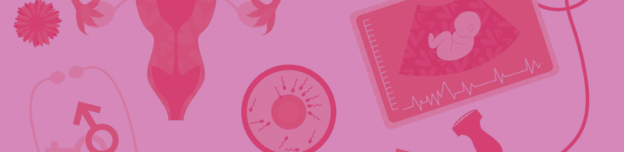 Ginecología y Obstetricia en Monterrey Nuevo León